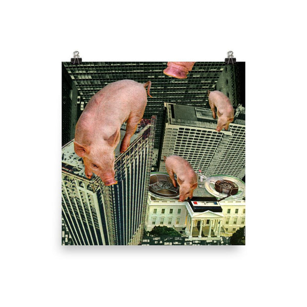 JOAN SEED Illustrations and Posters Poster 18x18" Highrise Pigs Poster