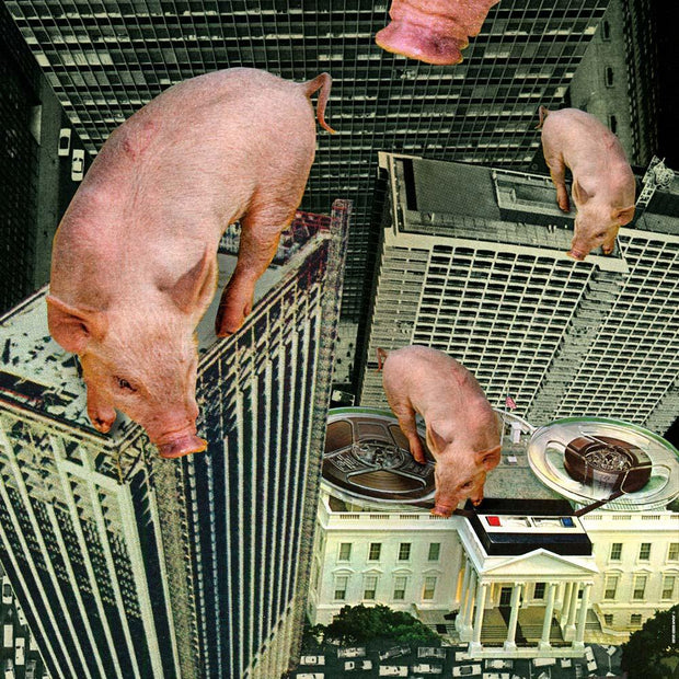 JOAN SEED Illustrations and Posters Poster 52x52" Highrise Pigs Poster